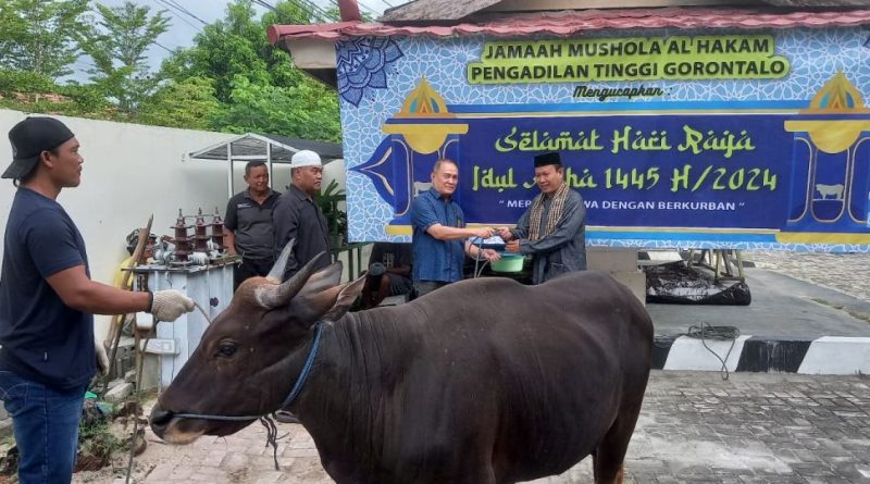 Penyembelihan Hewan Qurban Tahun 1445 H / 2024 M di Pengadilan Tinggi Gorontalo