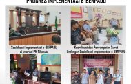 Progress Implementasi e-Berpadu