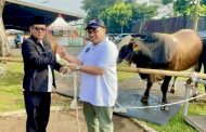 RAYAKAN IDULADHA 1445 H, MAHKAMAH AGUNG KURBAN PULUHAN EKOR SAPI