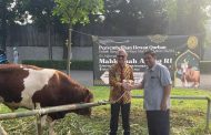 MAHKAMAH AGUNG SELENGGARAKAN PEMOTONGAN HEWAN QURBAN