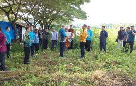 Ketua Pengadilan Tinggi Gorontalo Tinjau Lokasi Persiapan Operasional PN Gorontalo Utara